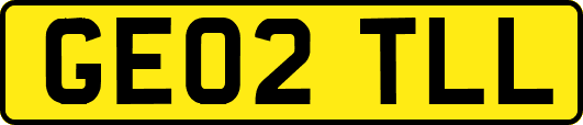 GE02TLL