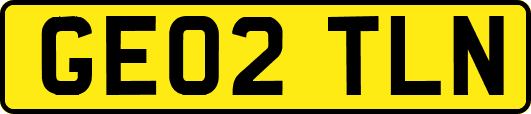 GE02TLN