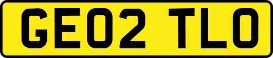 GE02TLO