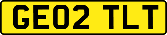 GE02TLT
