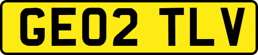 GE02TLV
