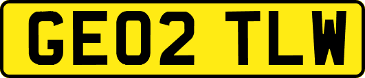 GE02TLW