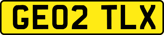 GE02TLX