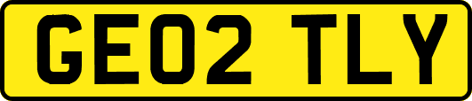 GE02TLY