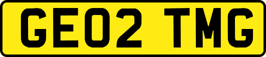 GE02TMG