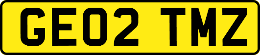 GE02TMZ