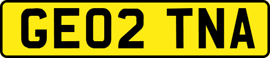 GE02TNA