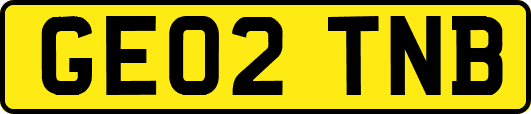 GE02TNB