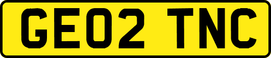 GE02TNC
