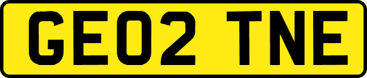 GE02TNE