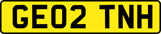 GE02TNH