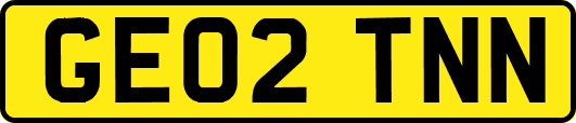 GE02TNN