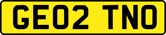 GE02TNO