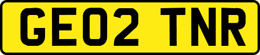 GE02TNR