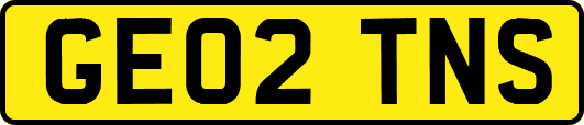 GE02TNS