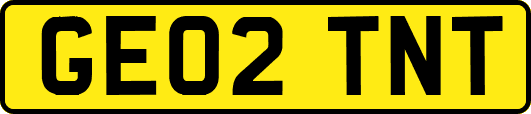GE02TNT