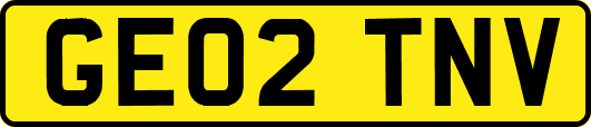 GE02TNV