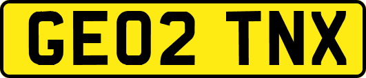GE02TNX