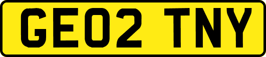 GE02TNY