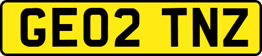 GE02TNZ