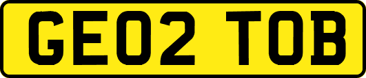 GE02TOB