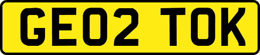 GE02TOK