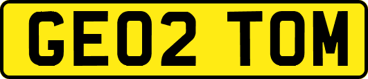 GE02TOM