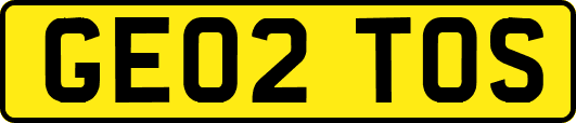 GE02TOS