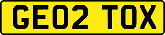 GE02TOX