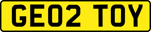 GE02TOY