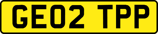 GE02TPP