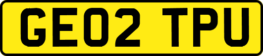 GE02TPU