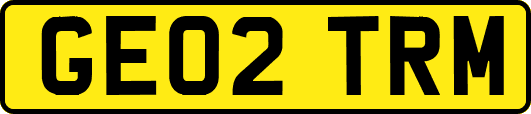 GE02TRM