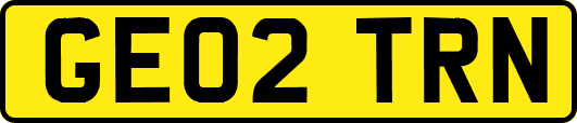 GE02TRN