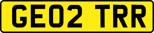 GE02TRR