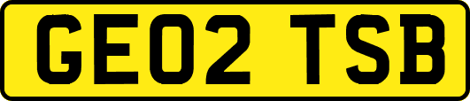 GE02TSB