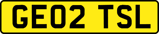 GE02TSL