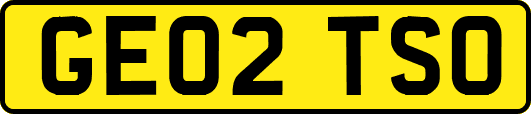 GE02TSO