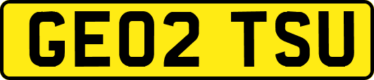 GE02TSU