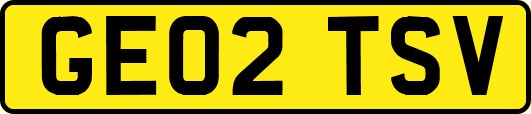 GE02TSV