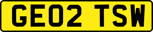 GE02TSW