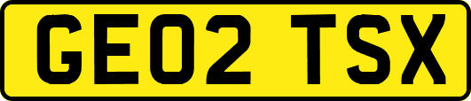 GE02TSX