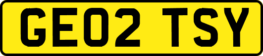 GE02TSY