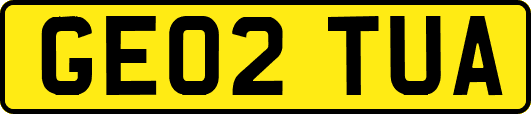 GE02TUA