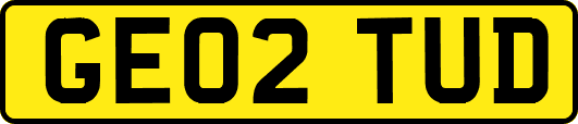 GE02TUD