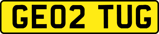 GE02TUG