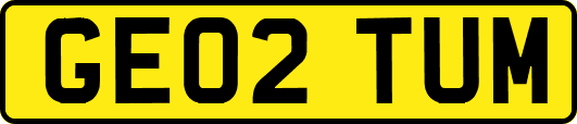 GE02TUM