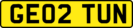 GE02TUN
