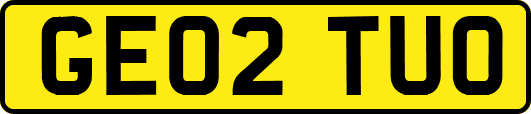 GE02TUO