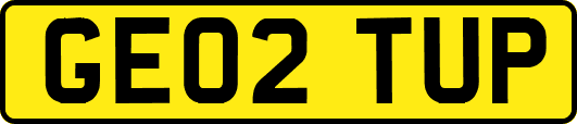 GE02TUP